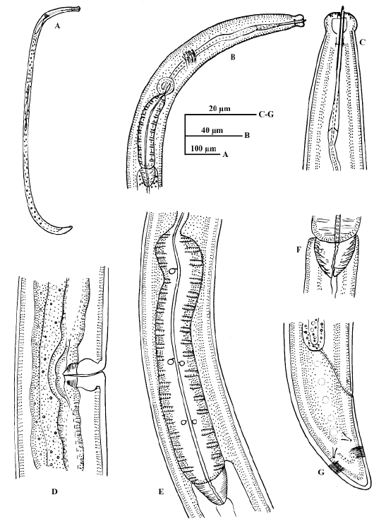 Figure 3: