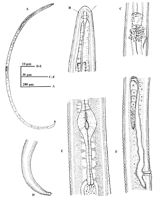 Figure 9: