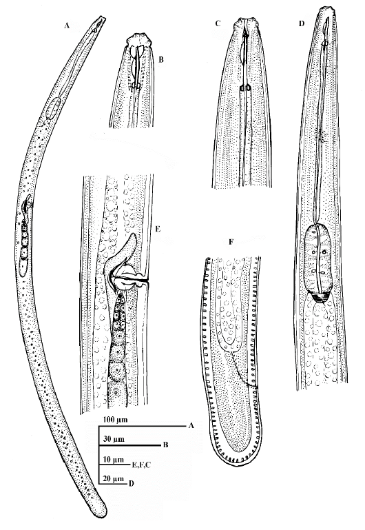 Figure 5: