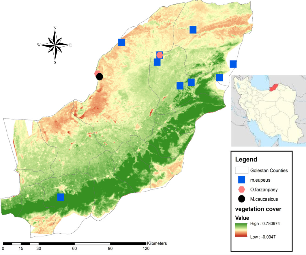 Figure 2: