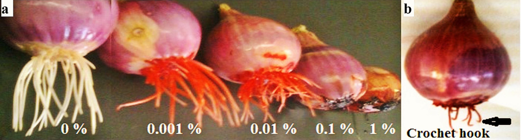 Figure 1: