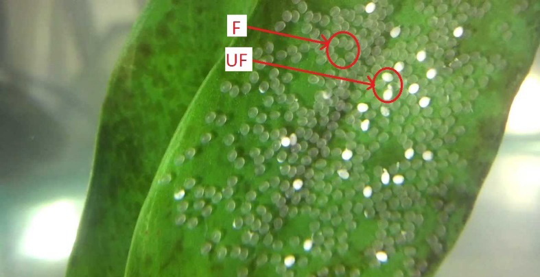 Figure 1: