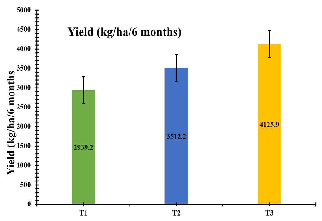 Figure 3: