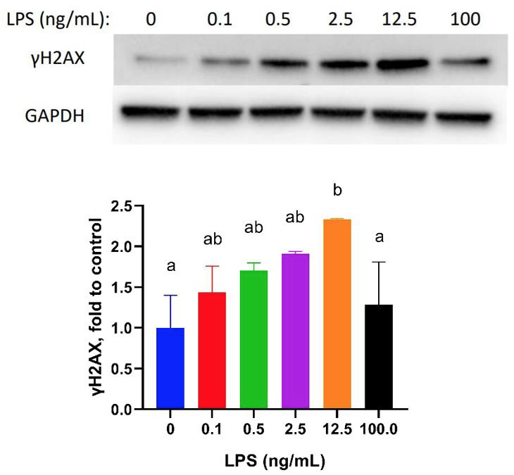 Fig. 7.