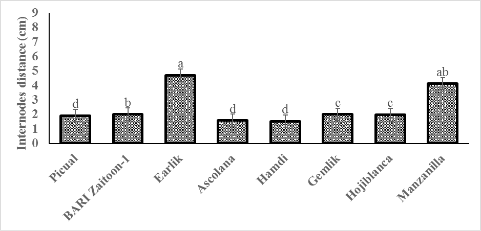 Figure 3: