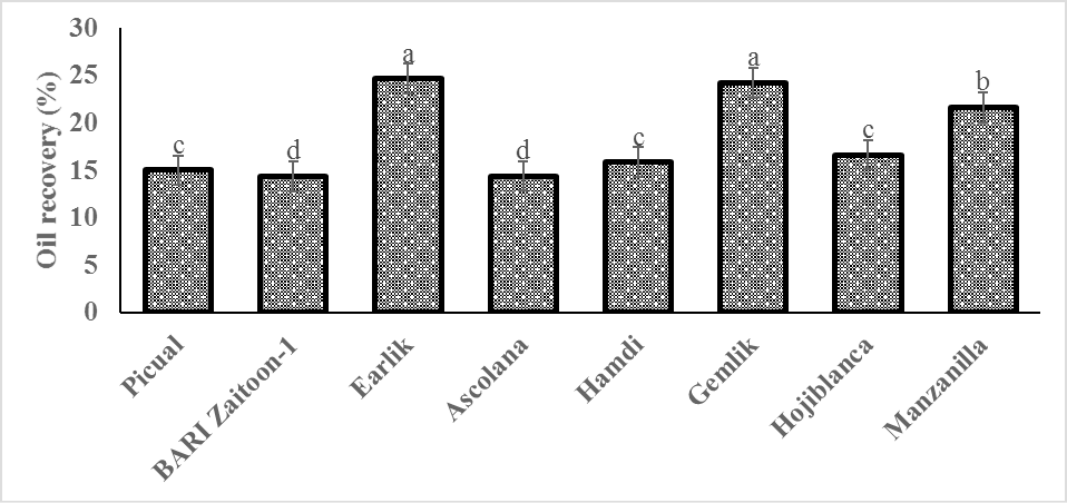 Figure 6: