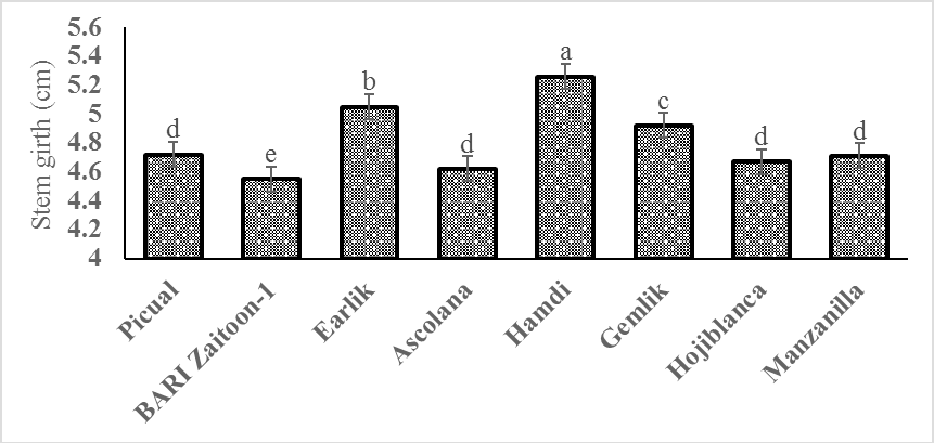 Figure 2: