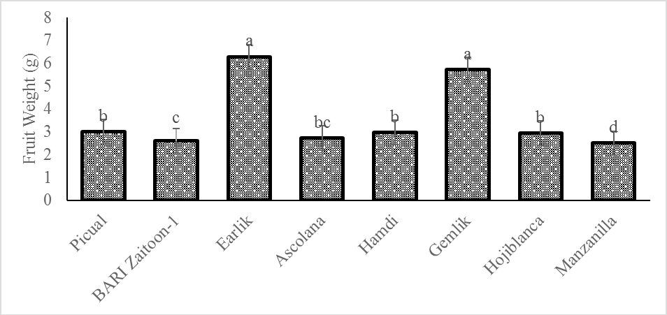 Figure 4: