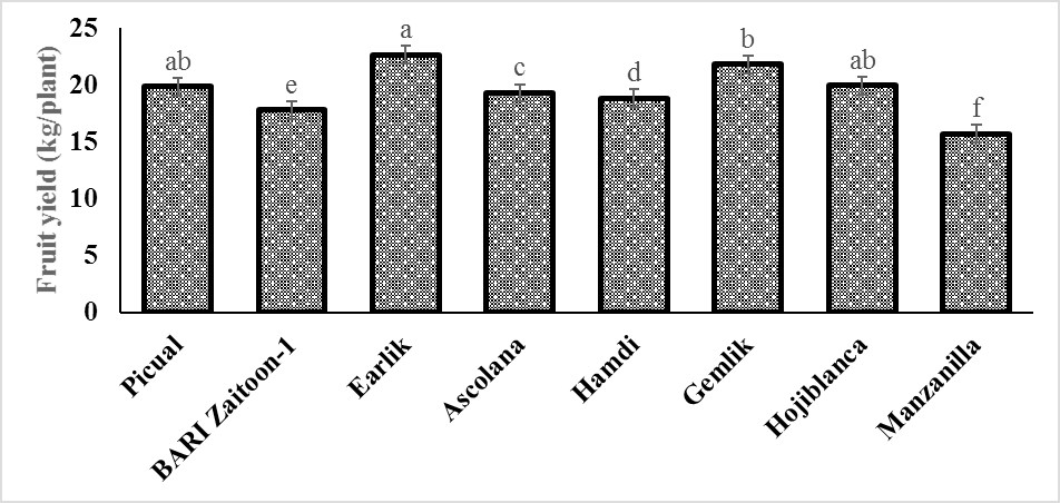 Figure 5: