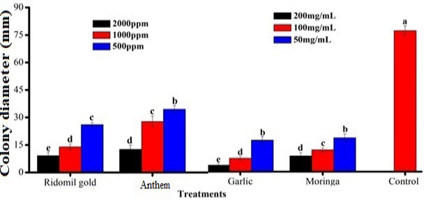 Figure 6:
