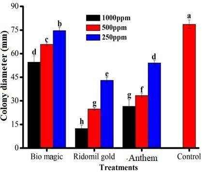 Figure 4: