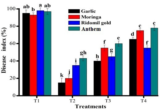 Figure 5: