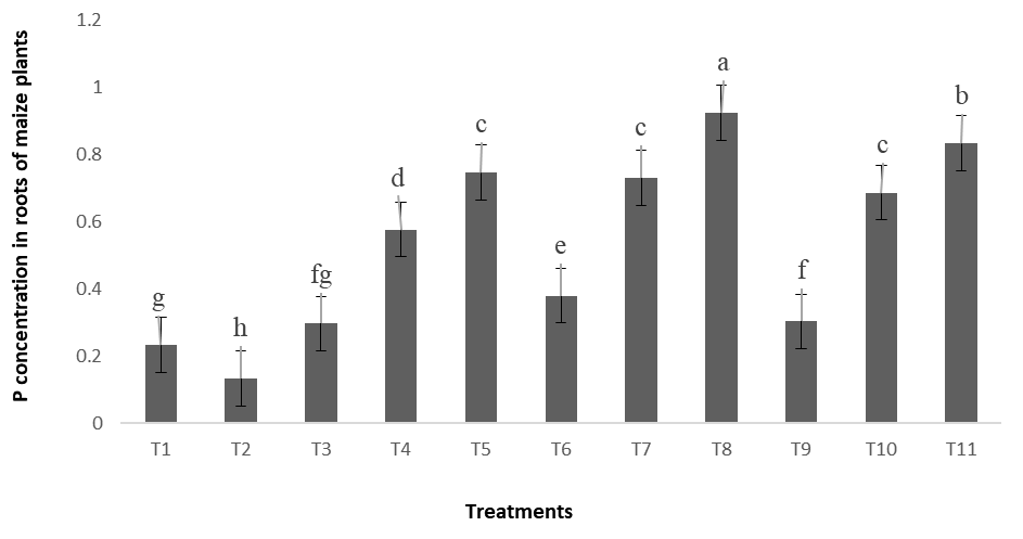 Figure 5: