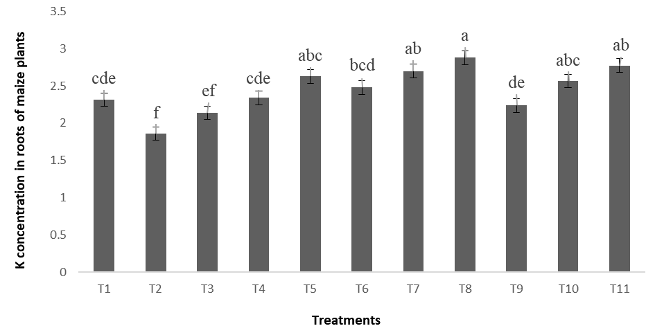 Figure 6: