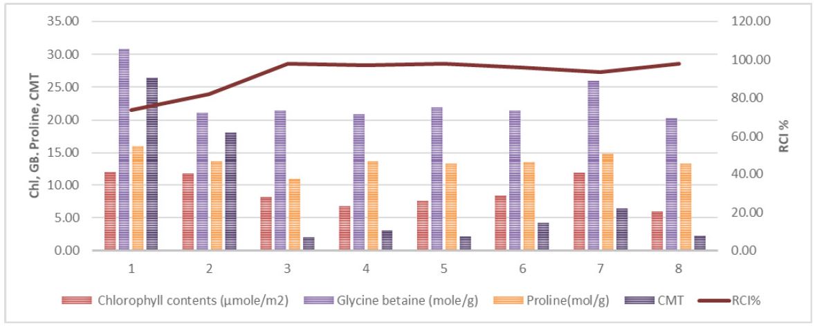 Figure 3: