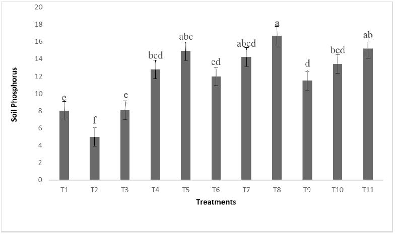 Figure 5: