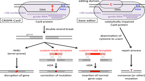 Figure 4: