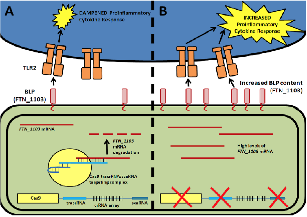 Figure 1: