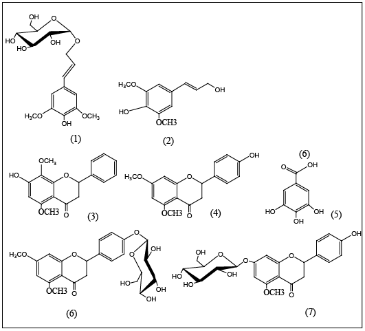 Figure 2: