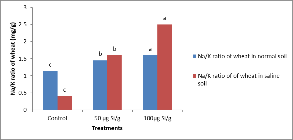 Figure 3: