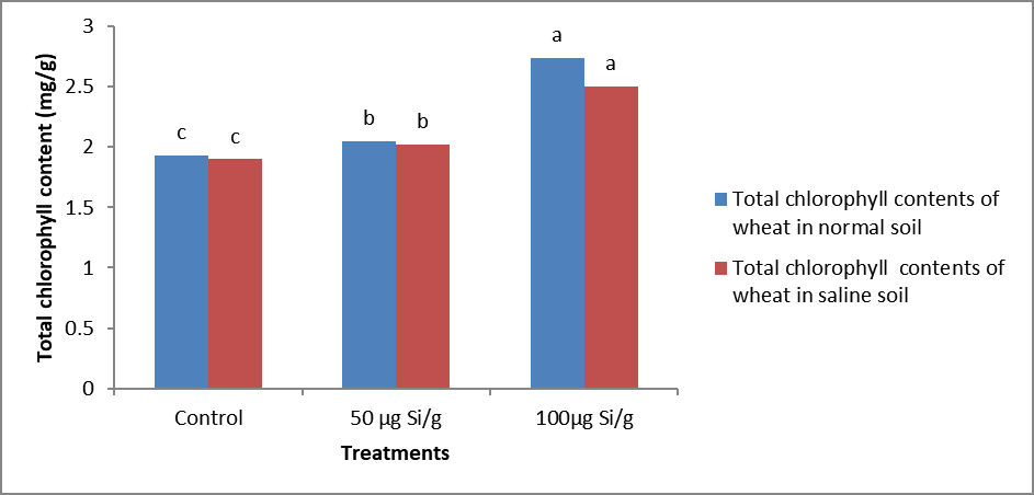 Figure 5: