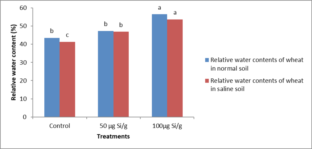 Figure 4:
