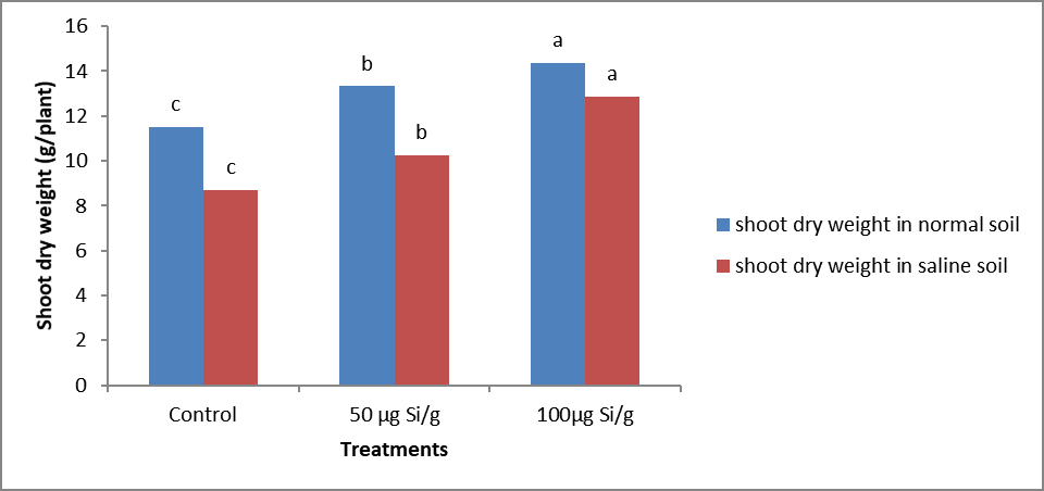 Figure 5: