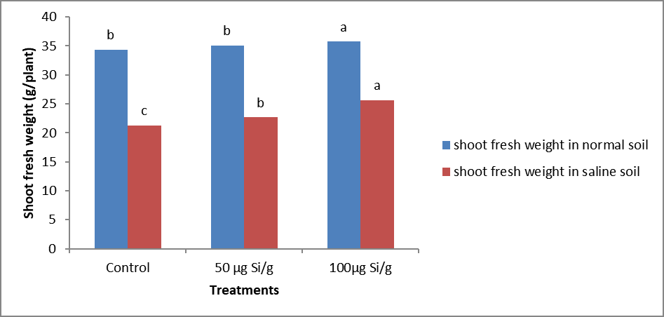Figure 4: