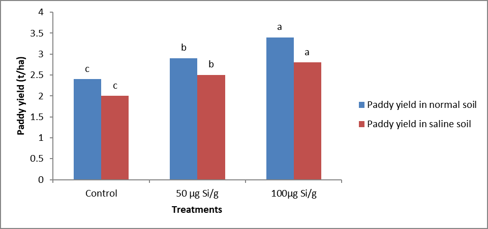 Figure 6:
