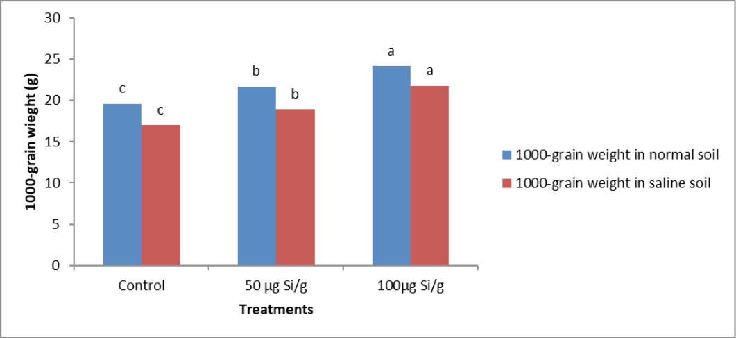 Figure 3: