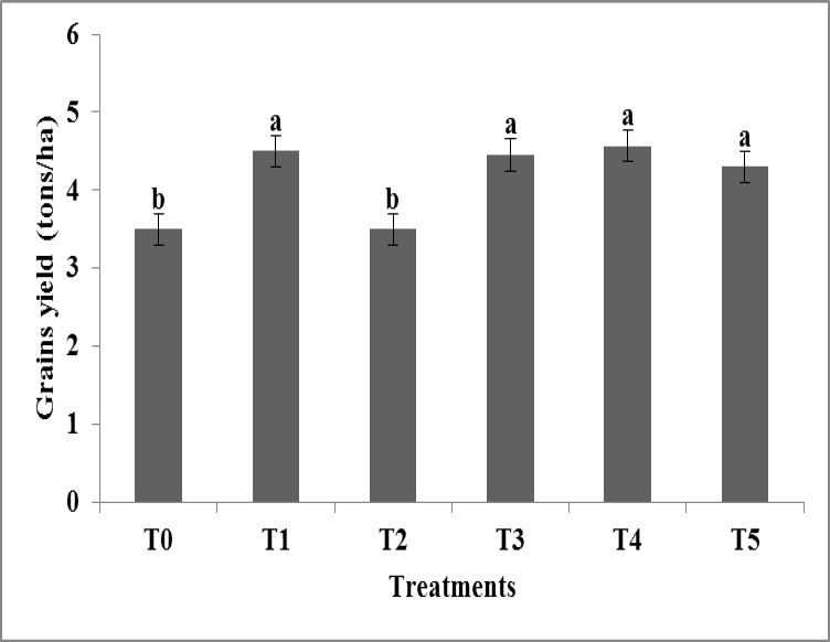 Figure 4:
