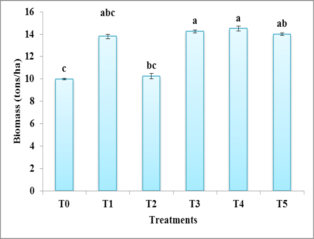 Figure 3:
