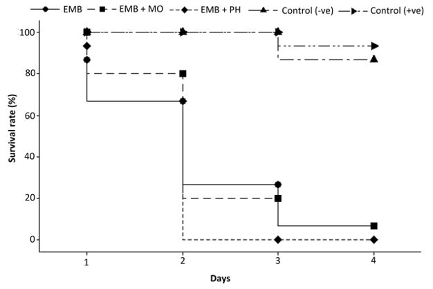 Figure 2: