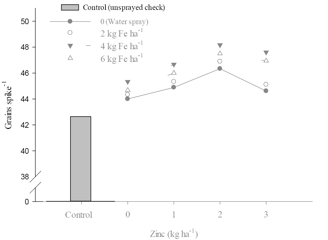 Figure 2: