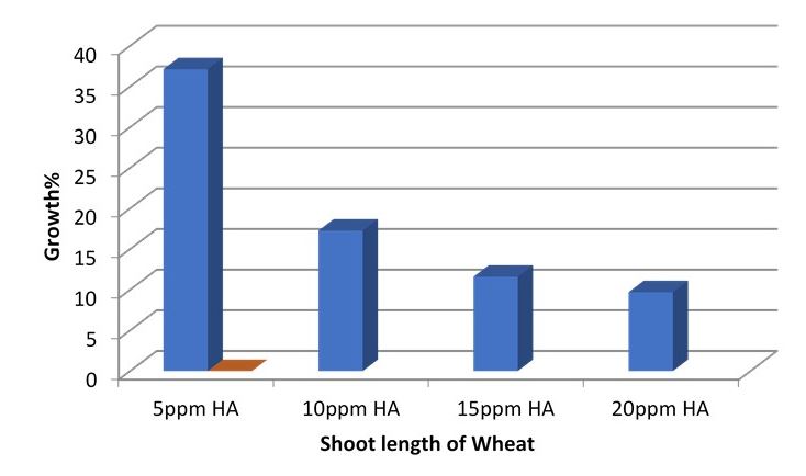 Figure 6:
