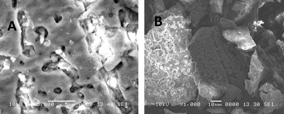 Figure 4: