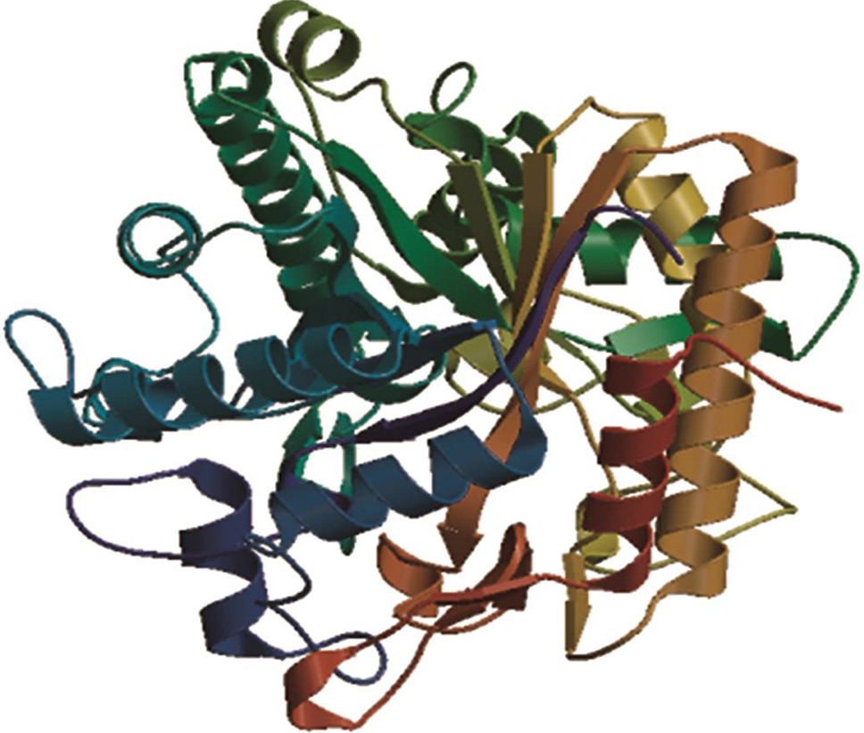 Fig. 2.