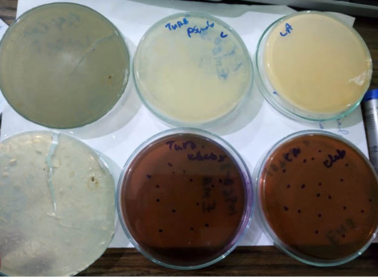 Figure 2: