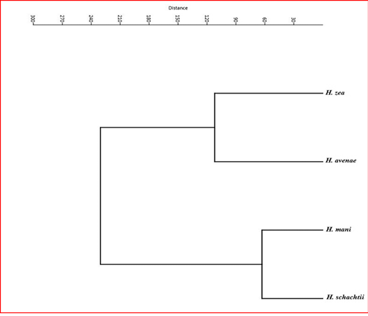 Figure 1: