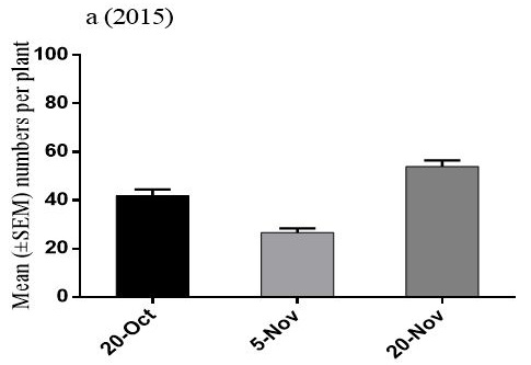 Figure 3: