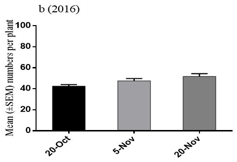 Figure 4: