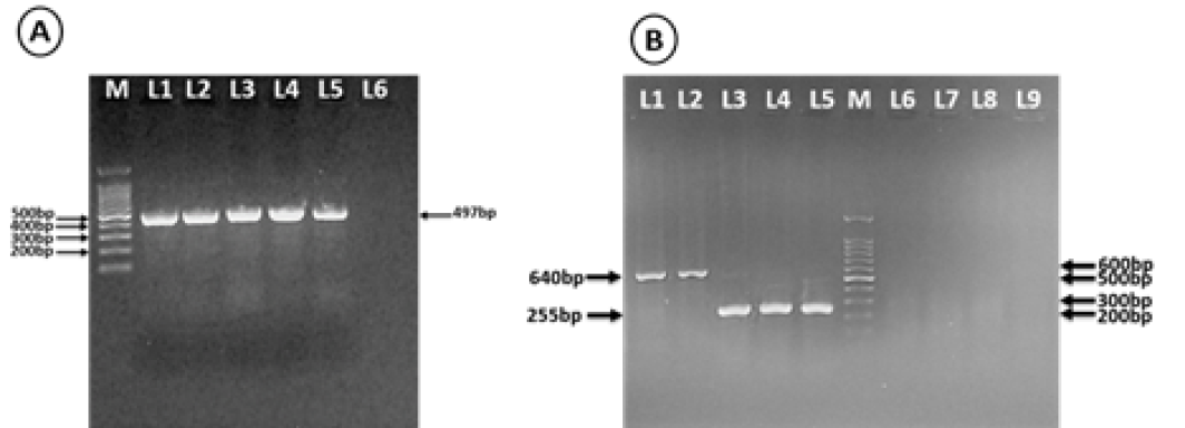 Figure 3: