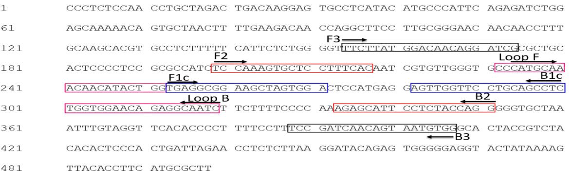 Figure 1: