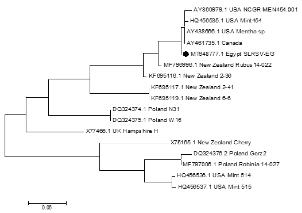 Figure 4: