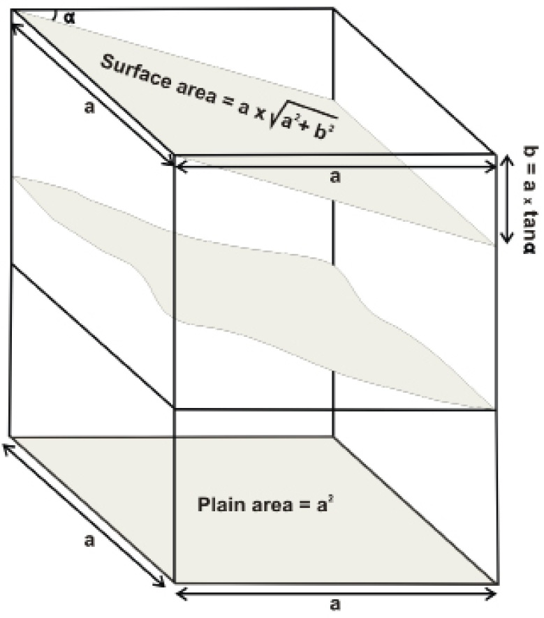 Figure 5: