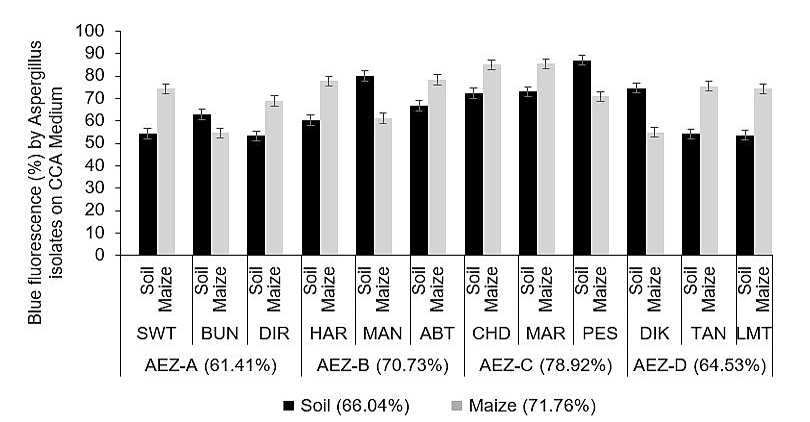 Figure 5: