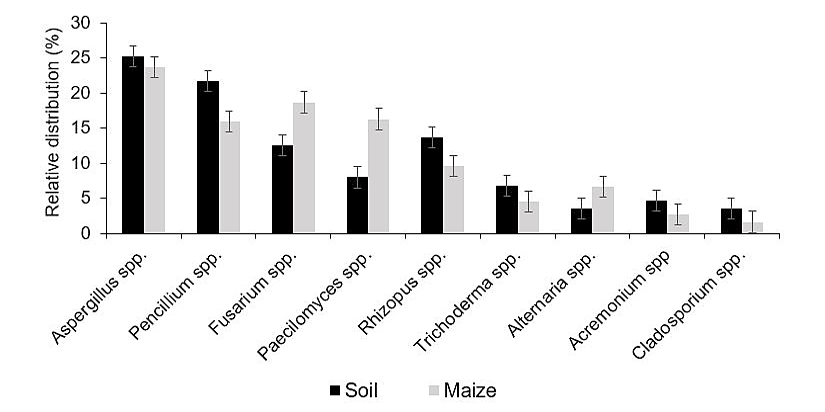 Figure 4: