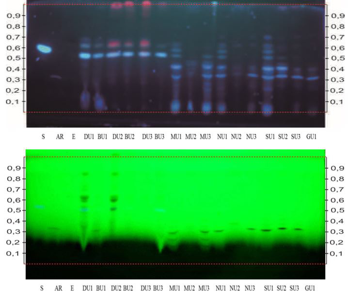 Figure 5: