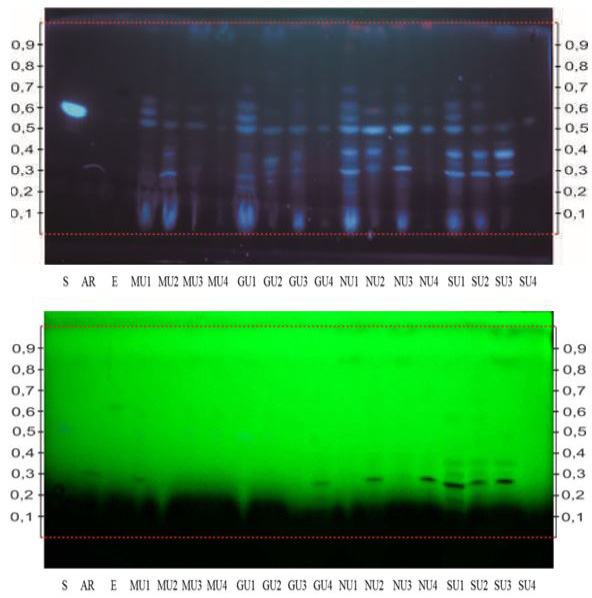 Figure 3: