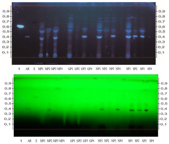 Figure 4: